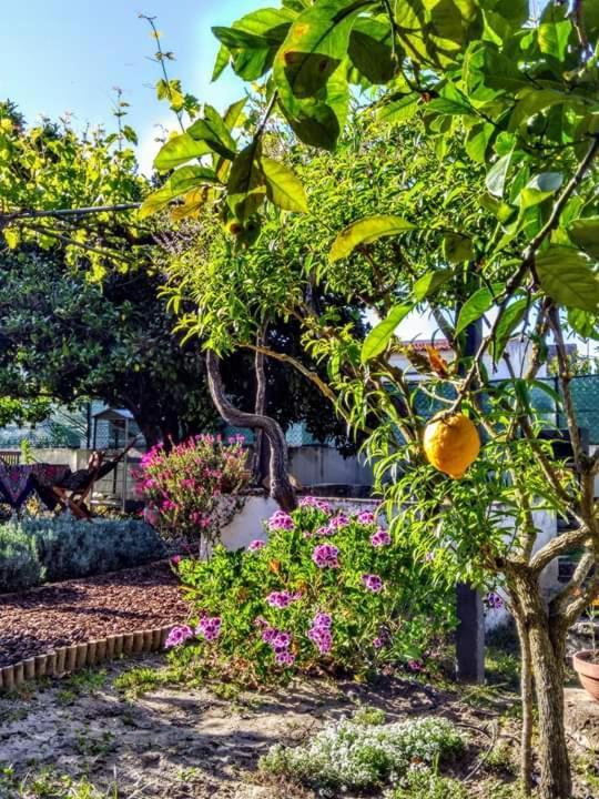 Pateo Memoria, Casa Do Beco Ferienhaus Setúbal